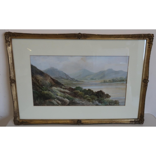 1196 - J. Douglas (British, 20th Century ): Extensive Lake District landscapes, pair of water colours hight... 