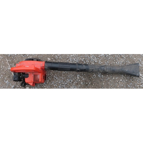 306 - Tanaka petrol leaf blower