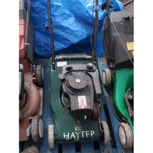 339 - Hayter Harrier 41 petrol lawn mower