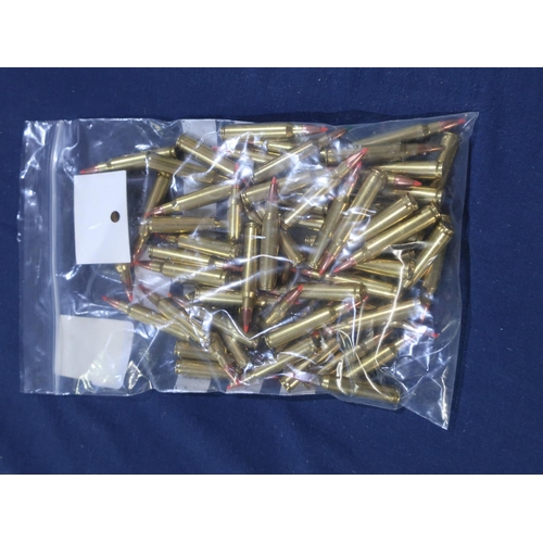 306 - 65 rounds of .223 (Section one certificate required)