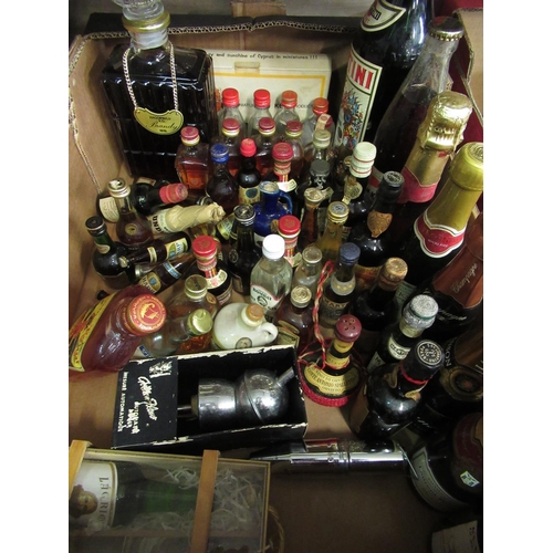 341 - Collection of miniatures including Bombay Dry Gin, Bucks fizz, Champagne, Whisky etc