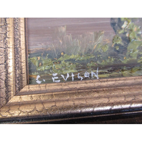 250 - Small framed oil on board painting of buildings in landscape scene signed C.Evison 39cm x 29cm inclu... 