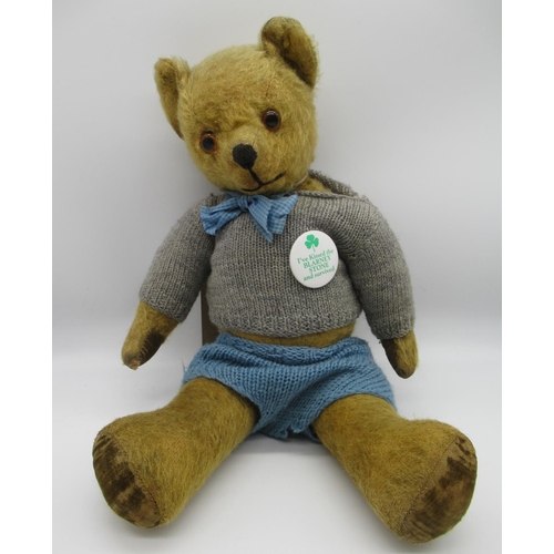 56 - C.1950's Pedigree teddy bear, with glass eyes, jointed arms and legs and swivel head, stitched nose ... 