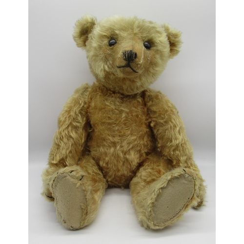 69 - Steiff 1909 teddy bear in apricot mohair, with centre seam, boot button eyes, pronounced clipped muz... 