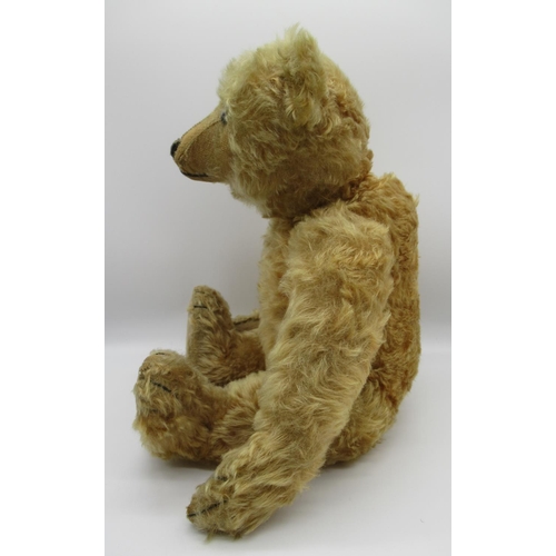 69 - Steiff 1909 teddy bear in apricot mohair, with centre seam, boot button eyes, pronounced clipped muz... 