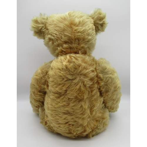 69 - Steiff 1909 teddy bear in apricot mohair, with centre seam, boot button eyes, pronounced clipped muz... 