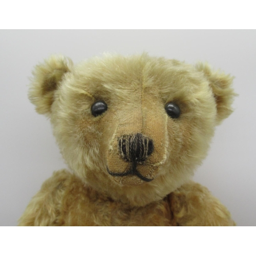 69 - Steiff 1909 teddy bear in apricot mohair, with centre seam, boot button eyes, pronounced clipped muz... 