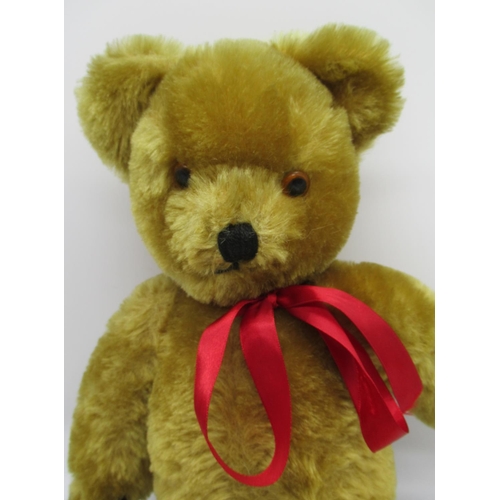 113 - Circa 1950's Pedigree musical teddy bear in golden mohair, with glass eyes, jointed arms and legs an... 