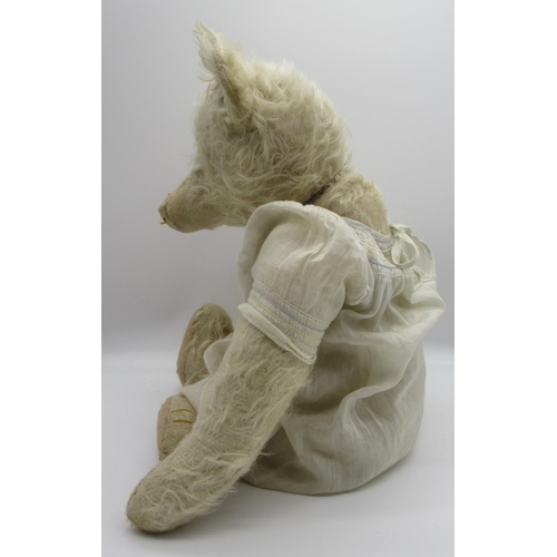 151 - Early C20th teddy bear in long white mohair with flat button eyes shaved muzzle jointed arms and leg... 