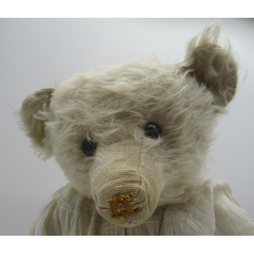 151 - Early C20th teddy bear in long white mohair with flat button eyes shaved muzzle jointed arms and leg... 