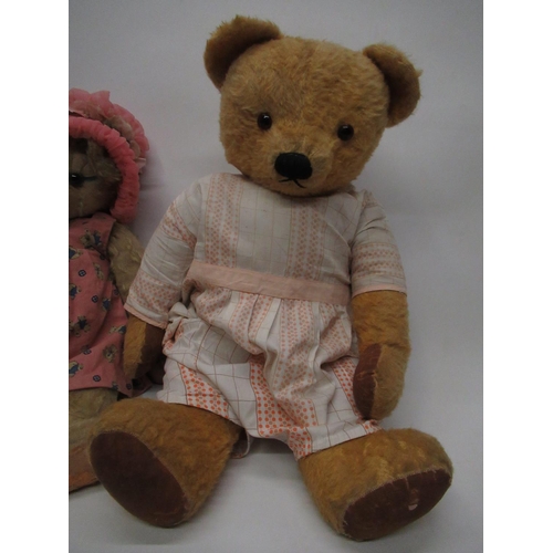 187 - Circa 1950's large Chad Valley teddy bear in golden mohair with glass eyes, jointed arms and legs, s... 