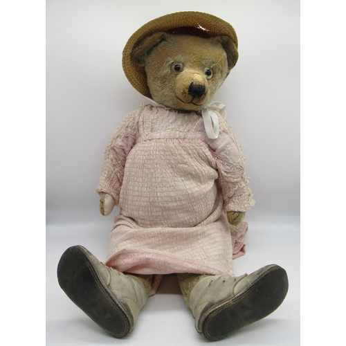 161 - Circa 1930's teddy bear, possibly W. J Terry, straw stuffed with original clear glass eyes with pain... 
