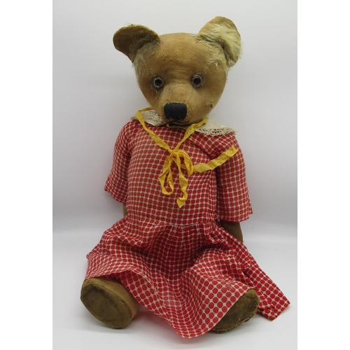 161 - Circa 1930's teddy bear, possibly W. J Terry, straw stuffed with original clear glass eyes with pain... 