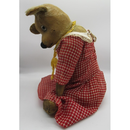 161 - Circa 1930's teddy bear, possibly W. J Terry, straw stuffed with original clear glass eyes with pain... 