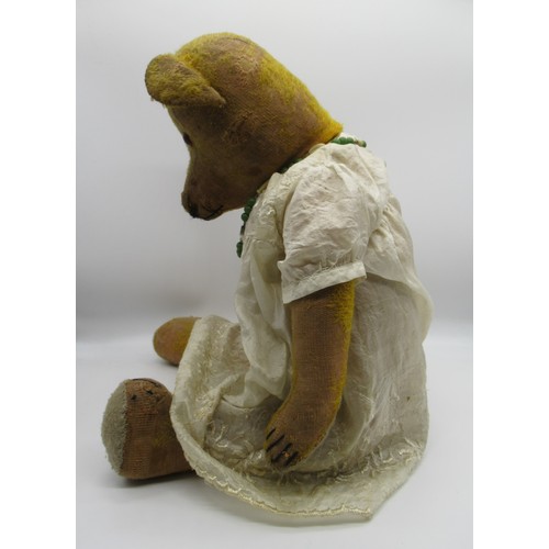 148 - Early American teddy bear with glass eyes and non-working growler mechanism, wearing a white dress a... 