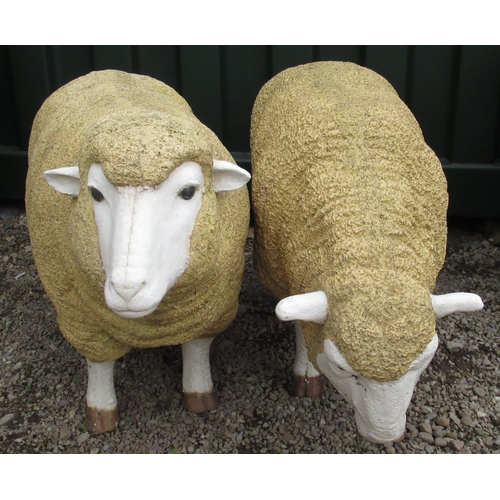 72 - Craig Revel Horwood Collection - composite model of a sheep with head up and another grazing 
H66cm ... 