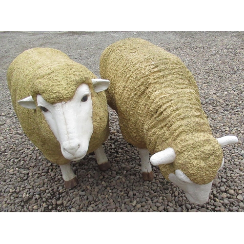 73 - Craig Revel Horwood Collection - composite model of a sheep with head up and another grazing 
H66cm ... 