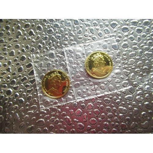 14 - Two one twentieth ounce Isle of Man Angel gold coins dated 1995 (2)
