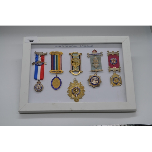 262 - Framed and mounted display of Order of the Buffalo medals silver hallmarked Birmingham, 1932, Boroga... 