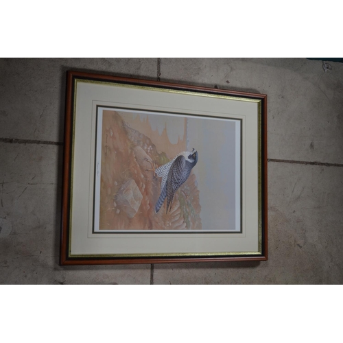 199 - Set of three framed and mounted limited edition David Andrews wild life prints including Peregrine, ... 