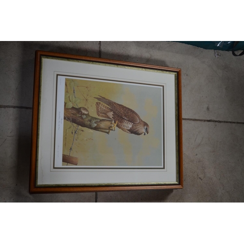 199 - Set of three framed and mounted limited edition David Andrews wild life prints including Peregrine, ... 