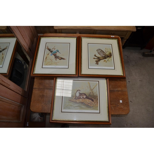 200 - Various signed limited edition David Andrews wild life prints including, otter, king fisher, owl and... 