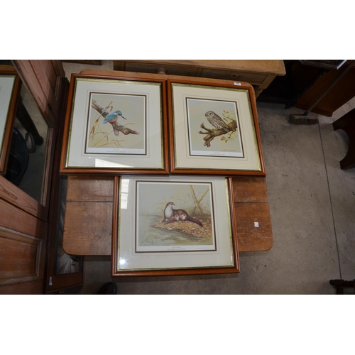 200 - Various signed limited edition David Andrews wild life prints including, otter, king fisher, owl and... 