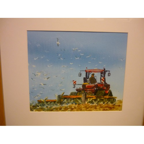 71b - English School (Contemporary): Tractor ploughing field followed by seagulls, watercolour, 52cm x 52c... 