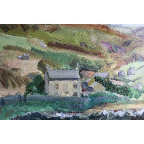 549 - Lucy M. Hainsworth (B.1935); ‘Near Denby,’ oil on canvas, signed, 41cm x 90cm