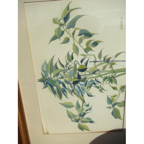 702 - Fred Williams (contemporary), study of bamboo, water colour, signed and dated 84 W35 L51cm, collecti... 
