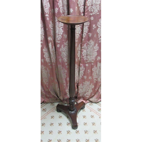 1333 - Regency and later mahogany and rosewood torchere, circular top on slender tapering column supports w... 