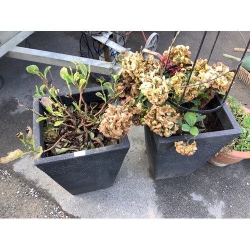 157 - Pair of black plastic square planters and two others