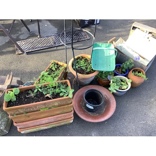 162 - Quantity of terracotta and other planters, planter obelisk etc.