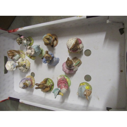 45 - Twelve Royal Albert Beatrix Potter figurines including 