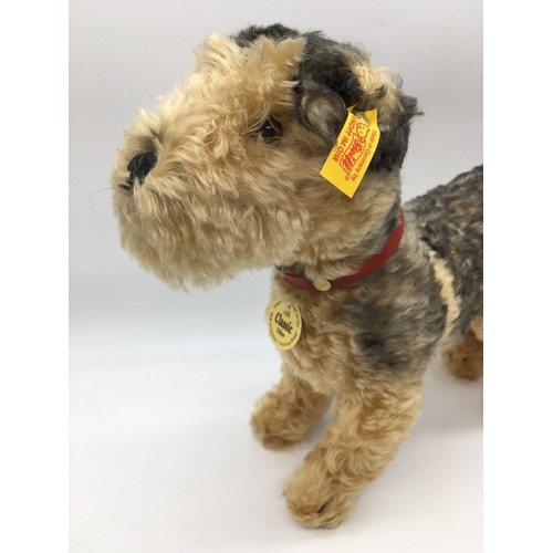 Steiff Classic 1935 Fellow Terrier in blonde and black mohair with red ...