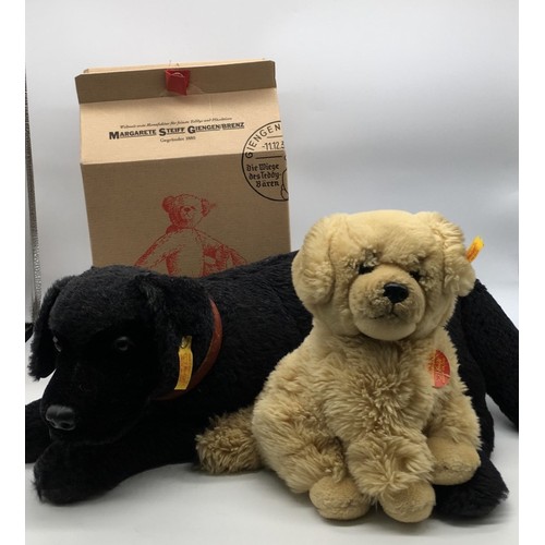 Steiff Hektor the Golden Retriever, in golden mohair/plush, boxed