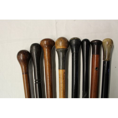 148 - Collection of eight walking sticks with various woods including ebony, malacca, rosewood etc