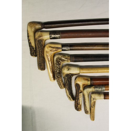 150 - Collection of eight antler handled walking sticks of various woods