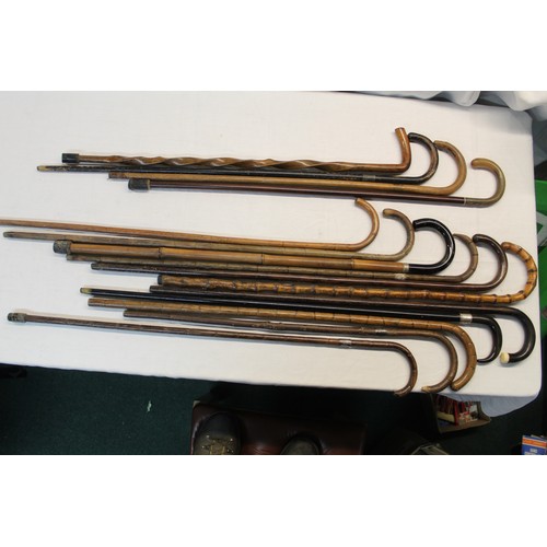 154 - Large collection of fifteen walking sticks of various woods