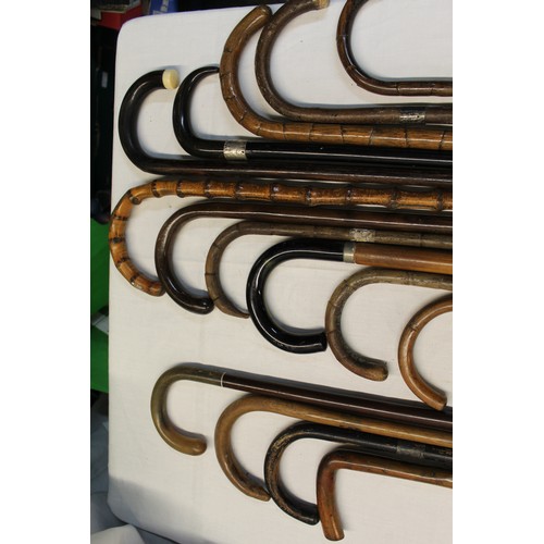 154 - Large collection of fifteen walking sticks of various woods