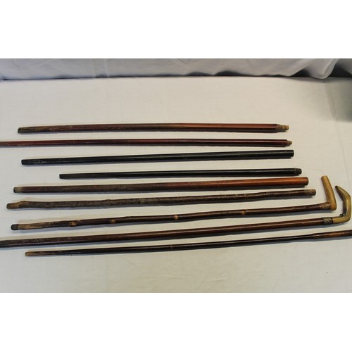 151 - Collection of three horn handled walking canes, six walking cane shanks of various woods