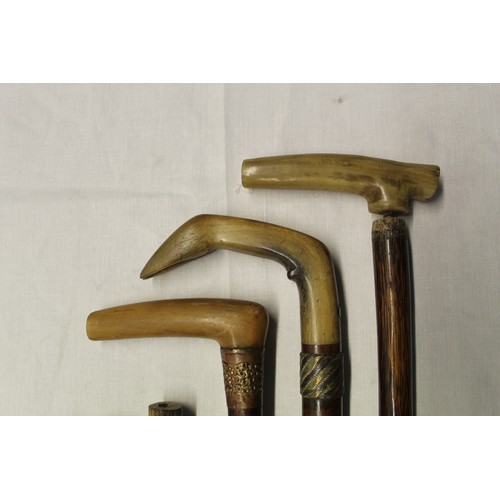 151 - Collection of three horn handled walking canes, six walking cane shanks of various woods