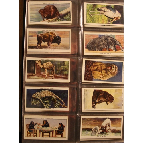 165 - Folder containing a comprehensive collection of cigarette cards with studies of animals and birds in... 