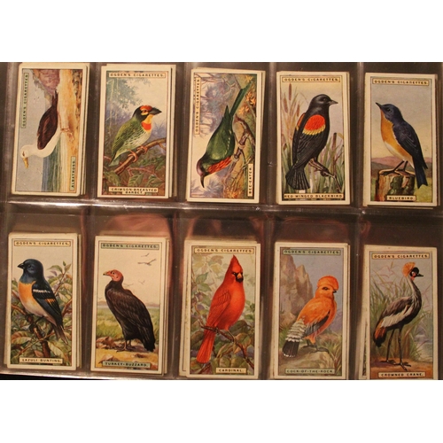 165 - Folder containing a comprehensive collection of cigarette cards with studies of animals and birds in... 