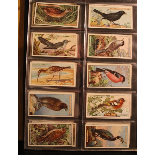 165 - Folder containing a comprehensive collection of cigarette cards with studies of animals and birds in... 