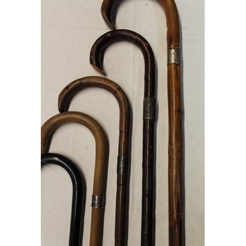 69 - Set of five walking canes with silver collars dating from Birmingham 1914, ebony, bamboo, blackthorn... 