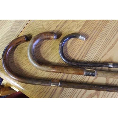 76 - Three Victorian and later walking sticks with gold plated mounts