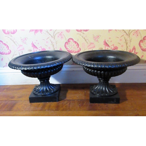 2039 - Pair of small black painted cast iron campana shaped urns, on lobed supports and square bases, D39cm... 
