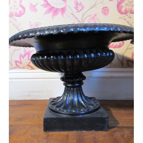 2039 - Pair of small black painted cast iron campana shaped urns, on lobed supports and square bases, D39cm... 