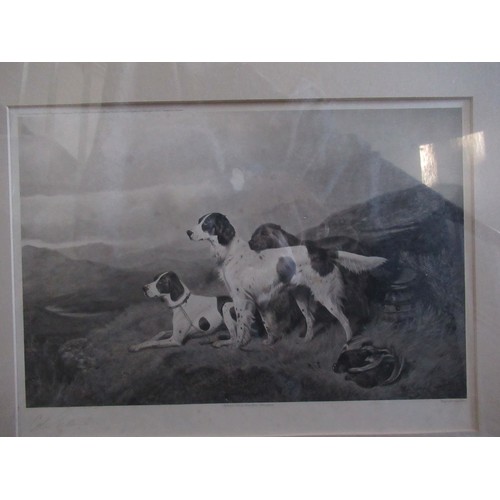 2038 - Colin Graeme (fl. 1858-1910) Shooting Dogs in the field, pair of monochrome prints, pub. 1900 by Jes... 